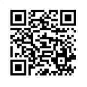 https://bus.gov.ru/qrcode/rate/300169